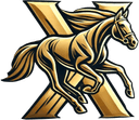 ProPaceX Logo